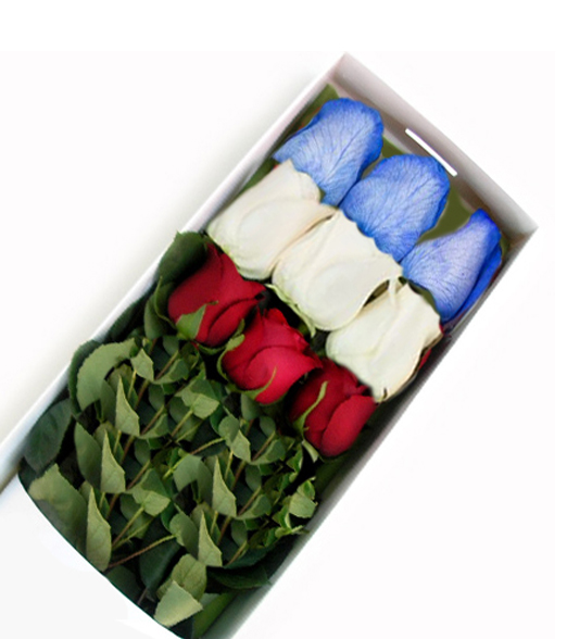 Caja con 09 Rosas Colores de la Bandera
